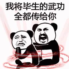 我将毕生的武功全都传给你！