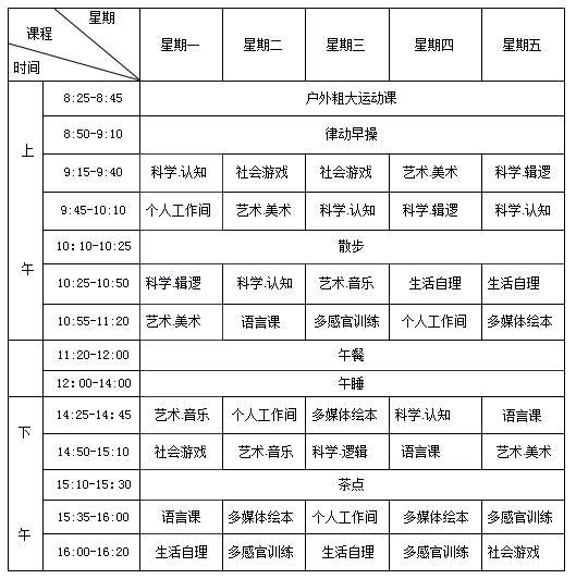 半天基础综合班学期课程表